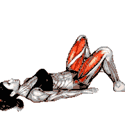 Wide Glute Bridge demonstration