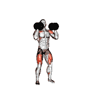 Dumbbell Push Press