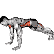 Alternate Single Leg Raise Plank demonstration