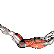 Alternate Leg Pull demonstration