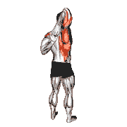 Shoulder Stretch Behind the Back