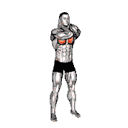 Bodyweight Standing Elbow Touches (Hands on Neck)
