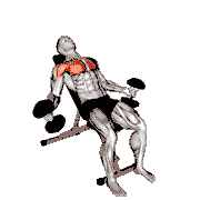 High Dumbbell Fly