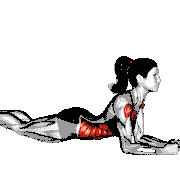 Elbow Push-Up