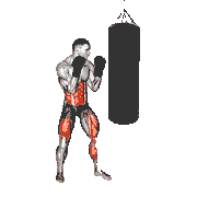 Hook Kick Kickboxing (With Boxing Bag)