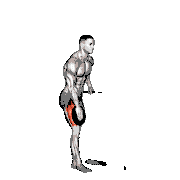 Weighted Single Leg Lift
