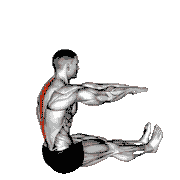 Spine Stretch