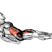 Weighted Seated Tuck Crunch on Floor