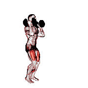 Dumbbell Front Rack Lunge