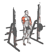 Smith Upright Row