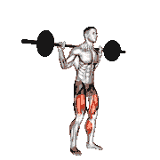 Barbell Jump Squat demonstration