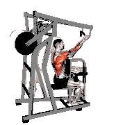 Lever Single-Arm Reverse Grip High Row (Plate Loaded)