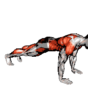 Downward Facing Dog