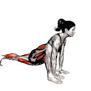 Lizard Pose