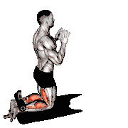 Inverse Leg Curl with Bench Pads