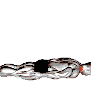 Prone Cervical Extension Isometric Hold