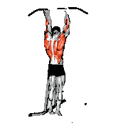 Supination Bar Suspension Stretch demonstration