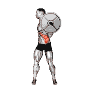Barbell Standing Twist