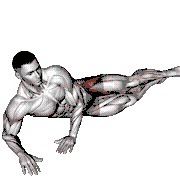 Side Lying Leg Circle