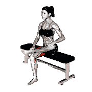 Seated Pigeon Stretch