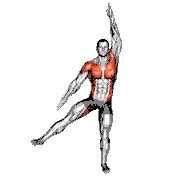 Side Leg Raise Jack