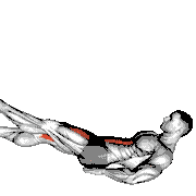 Alternate Leg Raise with Head-Up demonstration