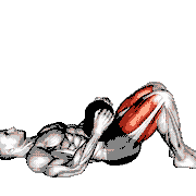 Dumbbell Glute Bridge