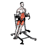 Twisted Leg Raise demonstration