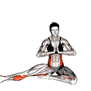 Revolved Head to Knee Pose