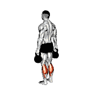 Kettlebell Standing Calf Raise