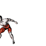 Lateral Shuffle Squat Tap