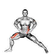 Extended Side Angle Yoga Pose