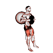 Weighted Exercise Ball Wall Squat demonstration