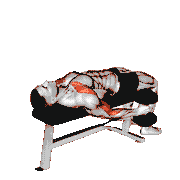 Dumbbell Lying Supine Curl