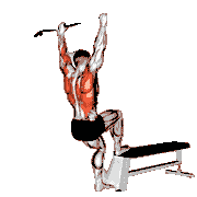 Bench Pull-Ups
