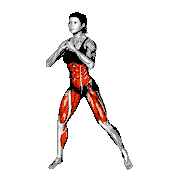 U Squat demonstration