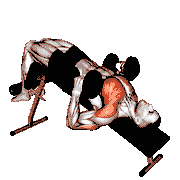Dumbbell Decline Hammer Press