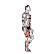 Single Leg Heel Touch Squat